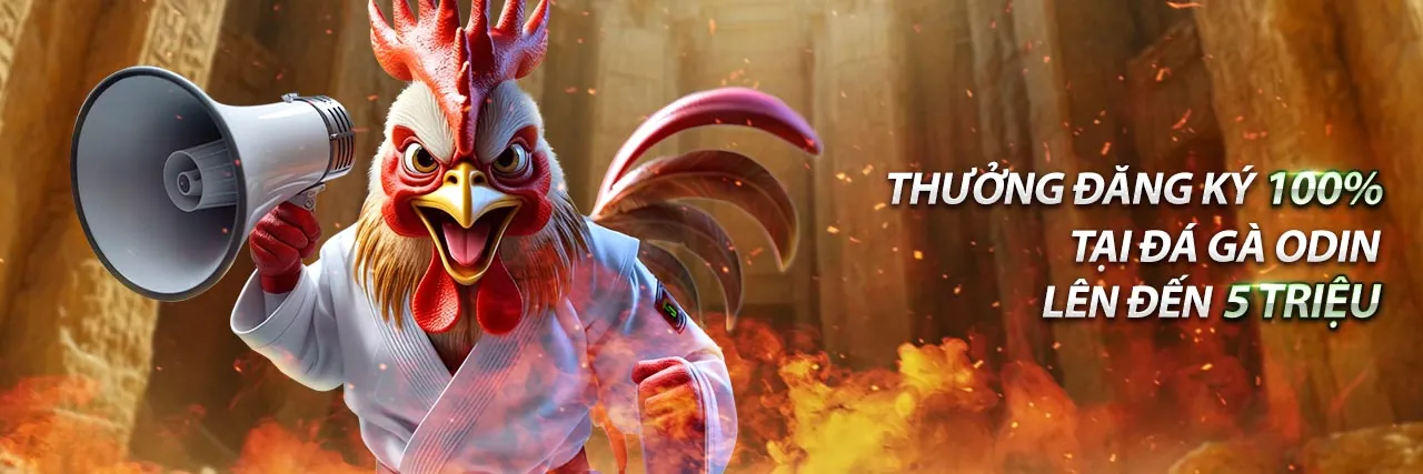 Hình ảnh minh họa chính sách cookie và bảo mật dữ liệu của hi8823 c